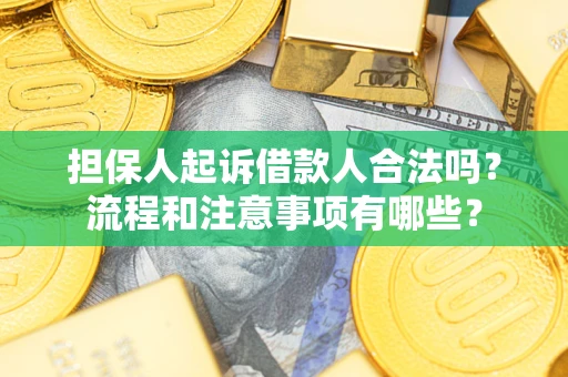 北京担保人起诉借款人合法吗？流程和注意事项有哪些？