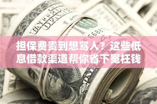 北京担保费贵到想骂人？这些低息借款渠道帮你省下冤枉钱