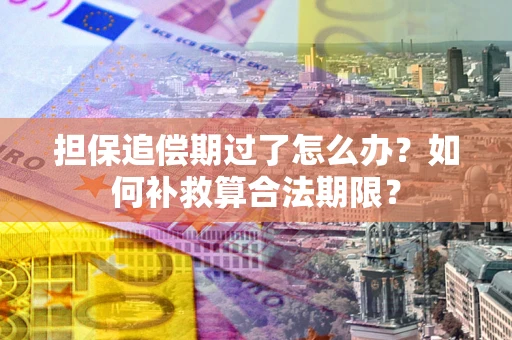 北京担保追偿期过了怎么办？如何补救算合法期限？