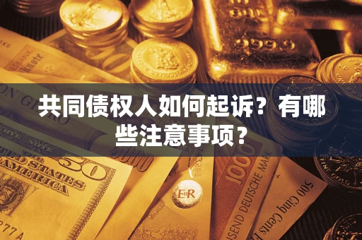 北京共同债权人如何起诉？有哪些注意事项？